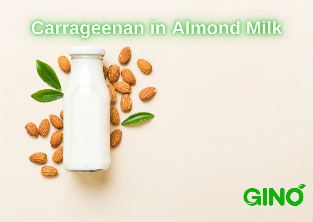10 Sorprendentes Beneficios de la Leche de Almendras 2 10 sorprendentes beneficios de la leche de almendras