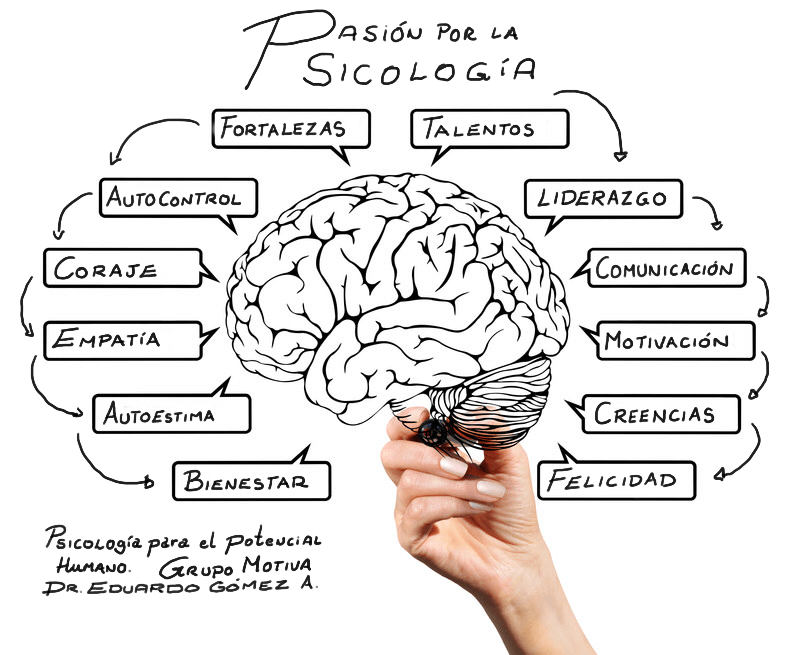 12 oportunidades en psicologia que transformaran tu carrera