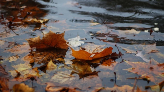 120 frases inspiradoras para disfrutar el dia de lluvia