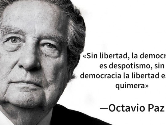 125 Frases de Psicología: Impactantes y Reveladoras 2 125 frases de psicologia impactantes y reveladoras