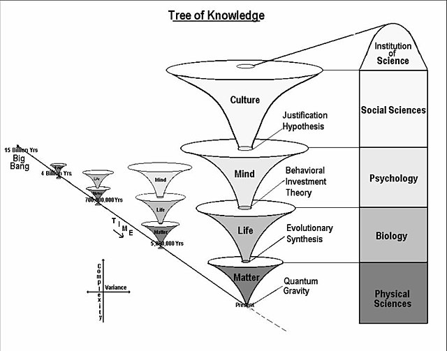 14 Ramas Esenciales de las Ciencias Sociales que Debes Conocer 2 14 ramas esenciales de las ciencias sociales que debes conocer