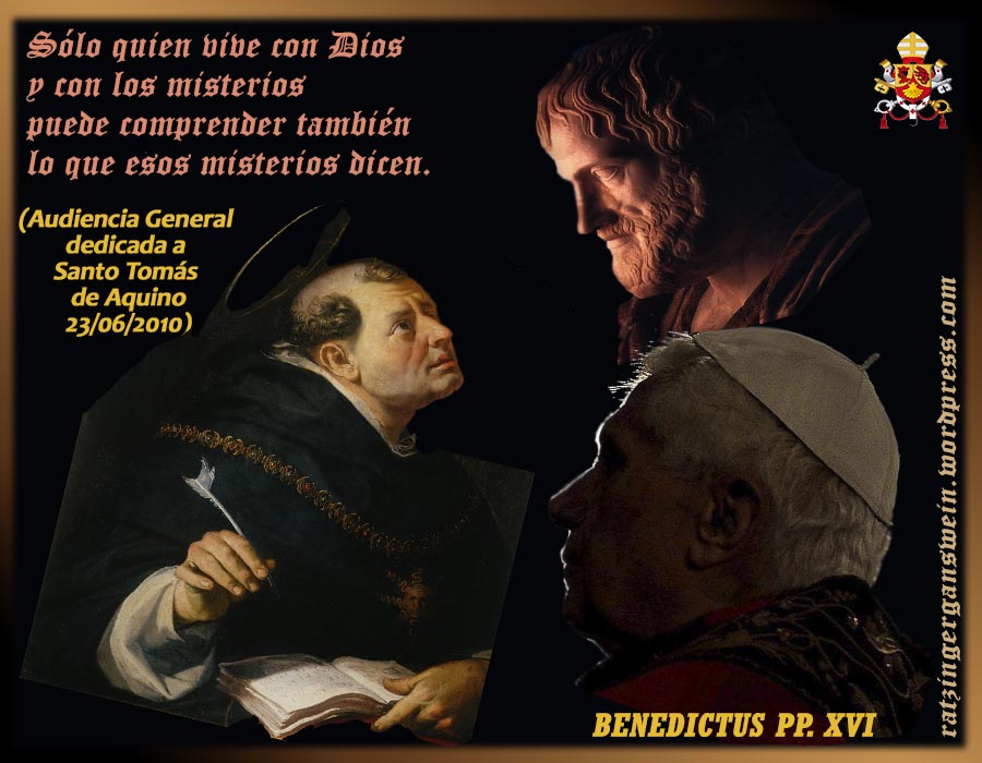 30 Frases de Tomás de Aquino que Transformarán tu Vida 2 30 frases de tomas de aquino que transformaran tu vida