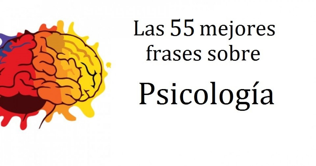 40 claves esenciales de psicologia social que debes conocer