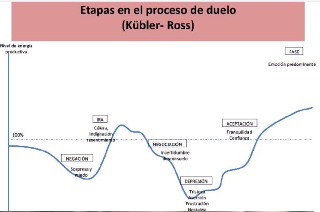 5 FASES DEL DUELO de Kübler-Ross - ¡Descubre su IMPORTANCIA! 2 5 fases del duelo de kubler ross descubre su importancia