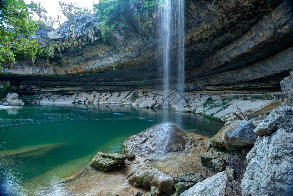 5 reinos de la naturaleza sorprendentes caracteristicas reveladas