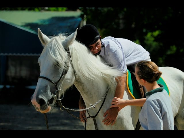 6 Impresionantes Beneficios del Caballo en Terapia 2 6 impresionantes beneficios del caballo en terapia
