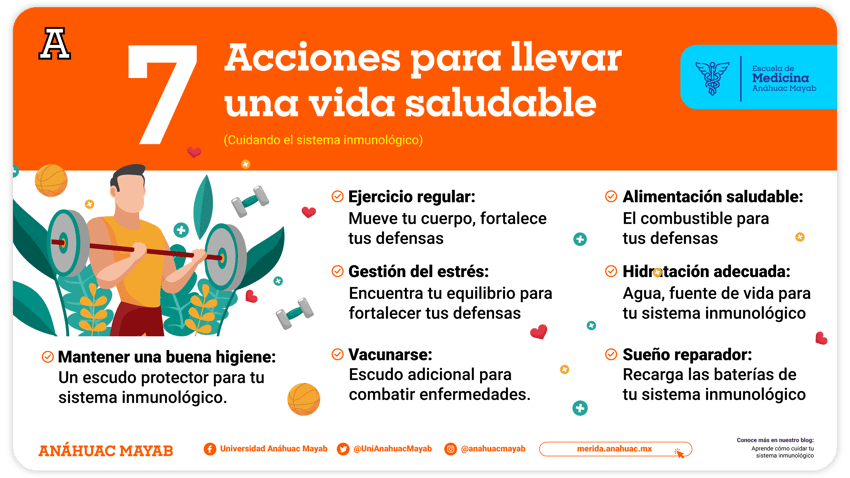 7 Claves Esenciales para Fortalecer Tu Sistema Inmunológico 2 7 claves esenciales para fortalecer tu sistema inmunologico
