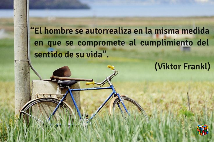 70 Frases de Viktor Frankl que Transformarán Tu Vida 5 70 frases de viktor frankl que transformaran tu vida