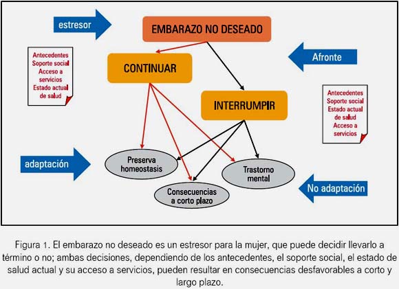 ABORTO: 5 CONSECUENCIAS PSICOLÓGICAS que Debes Conocer 2 aborto 5 consecuencias psicologicas que debes conocer