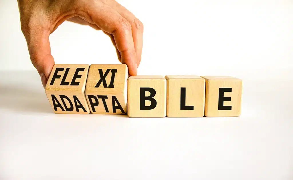 Adaptabilidad: Qué es y por qué es CLAVE para el ÉXITO 2 adaptabilidad que es y por que es clave para el