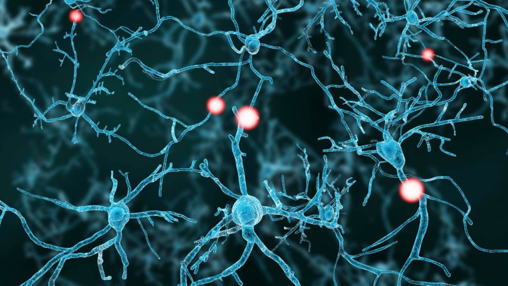 Adenosina: QUÉ ES y para QUÉ SIRVE en tu ORGANISMO 2 adenosina que es y para que sirve en tu organismo