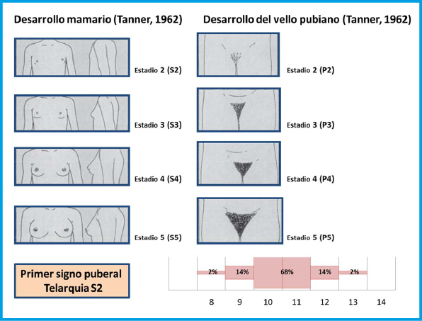 Adolescencia en Madrid: Claves y Etapas que Debes Conocer 2 adolescencia en madrid claves y etapas que debes conocer
