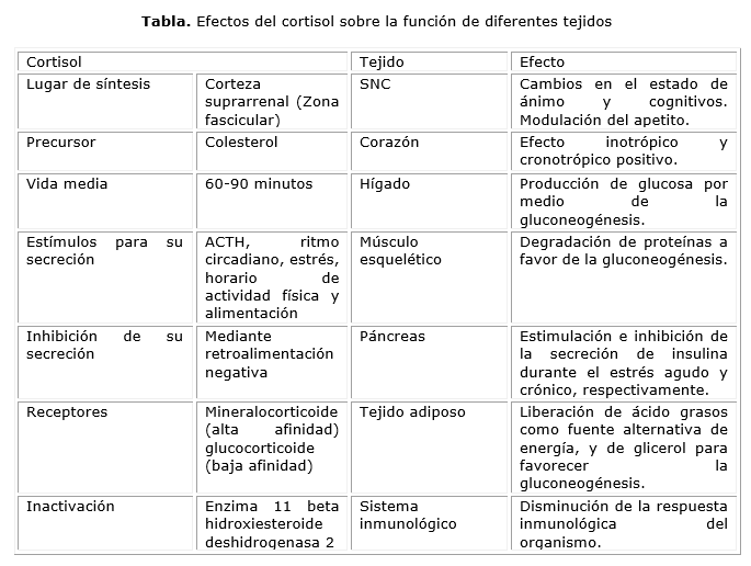 adrenocorticotropina funciones y patologias reveladas