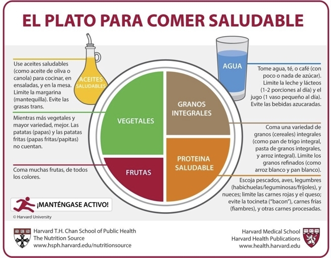 Adultez Temprana: Claves para un Desarrollo Saludable 2 adultez temprana claves para un desarrollo saludable
