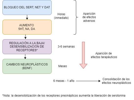Agomelatina en Madrid: Usos y Beneficios Sorprendentes 2 agomelatina en madrid usos y beneficios sorprendentes