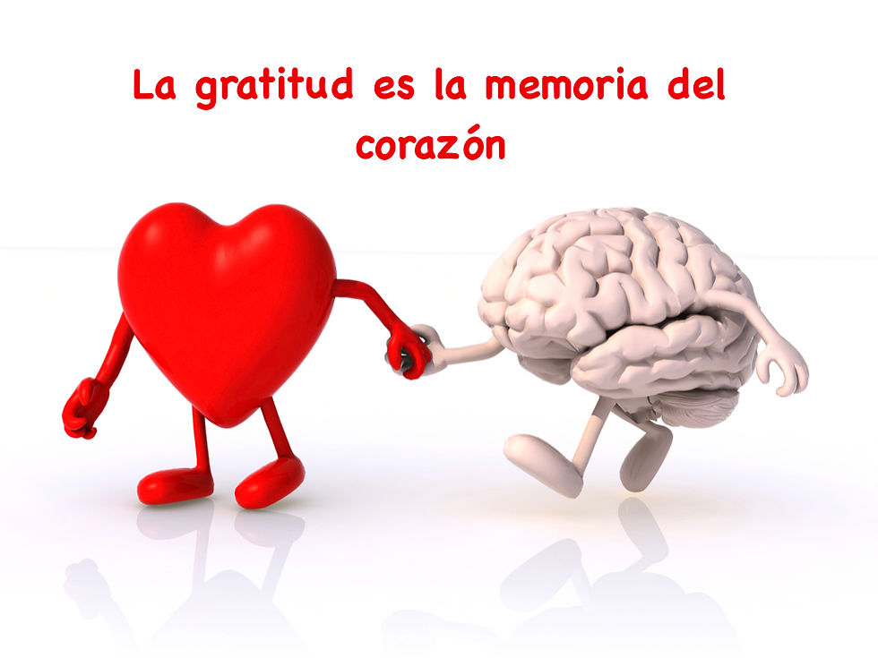 Agradezco a la VIDA - La GRATITUD, MEMORIA del CORAZÓN 2 agradezco a la vida la gratitud memoria del corazon