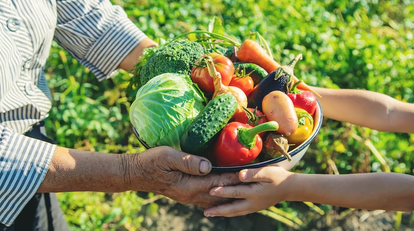 agricultura de subsistencia que es y como funciona