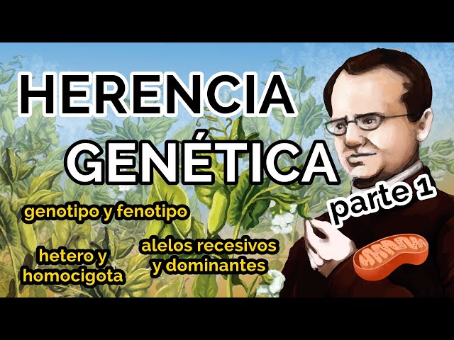 ALELO en Biología: Sorprendentes Definiciones y Ejemplos 2 alelo en biologia sorprendentes definiciones y ejemplos