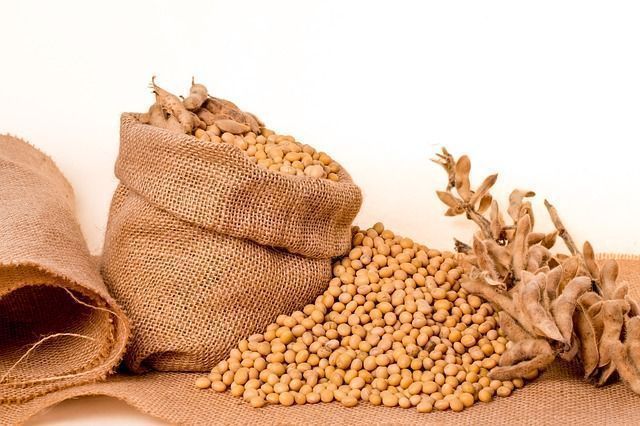 Alimentos en Madrid que Elevan tu Serotonina y Dopamina 2 alimentos en madrid que elevan tu serotonina y dopamina
