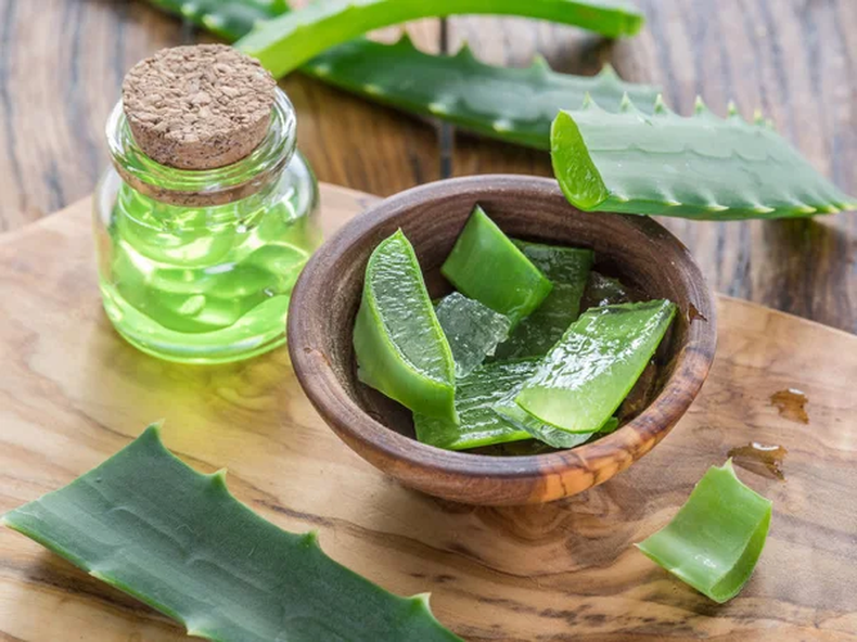 ALOE VERA: 13 BENEFICIOS IMPRESCINDIBLES para tu VIDA 2 aloe vera 13 beneficios imprescindibles para tu vida