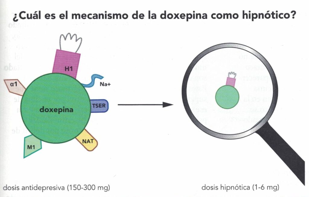alucinaciones hipnagogicas causas y su significado revelado