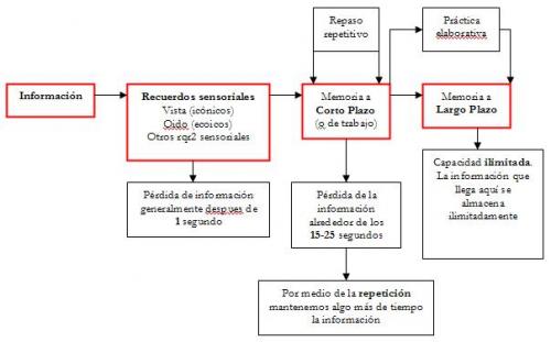 AMNESIA RETRÓGRADA: SÍNTOMAS, CAUSAS y TIPOS DESCUBIERTOS 2 amnesia retrograda sintomas causas y tipos descubiertos