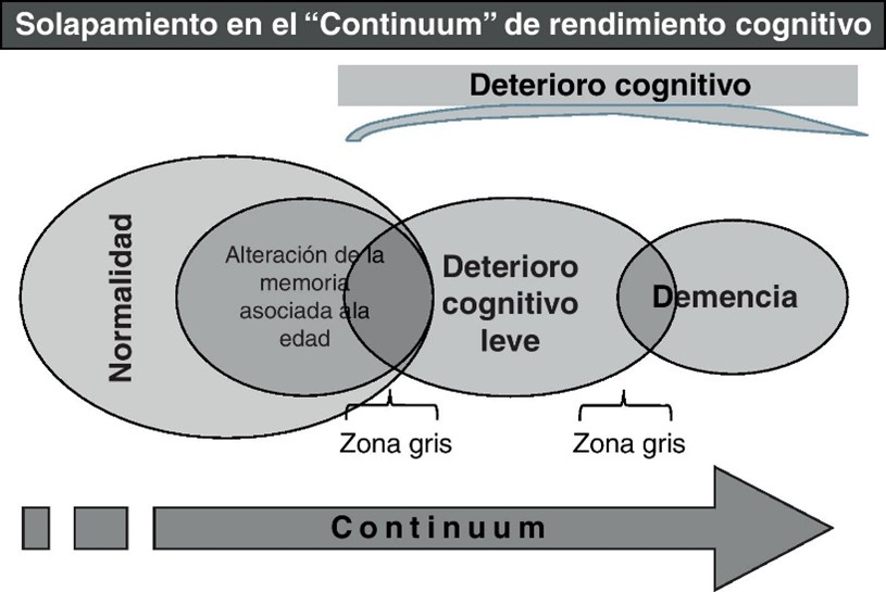 Amnesia vs Demencia: DESCUBRE sus DIFERENCIAS CLAVE 2 amnesia vs demencia descubre sus diferencias clave