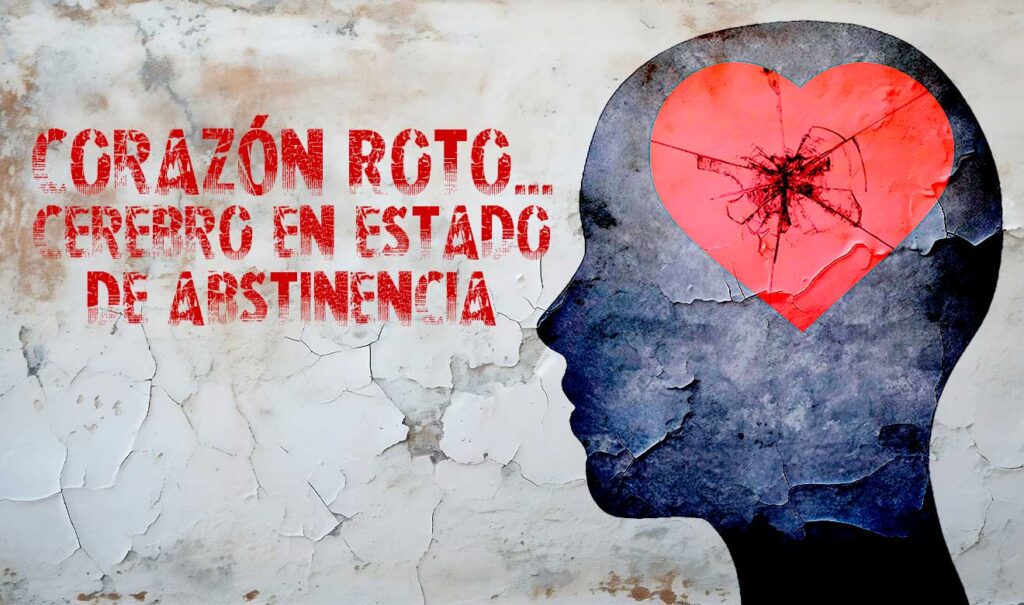 AMOR PSICOLÓGICO: Descubre cómo ENAMORA nuestro CEREBRO 2 amor psicologico descubre como enamora nuestro cerebro