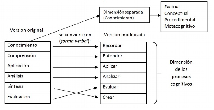 analiza la dimension cognitiva 8 claves esenciales