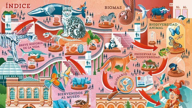 analiza los 8 Biomas Esenciales y Su Fascinante Diversidad 2 analiza los 8 biomas esenciales y su fascinante diversidad