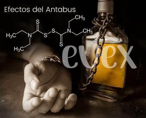 antabus para que sirve descubre sus efectos y beneficios