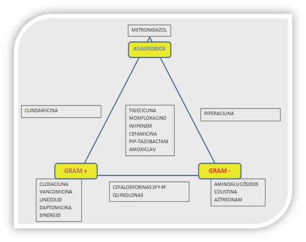 ANTIBIOTICOS: CLASIFICACIÓN y USO en TERAPIA ONLINE Madrid 13 antibioticos clasificacion y uso en terapia online madrid