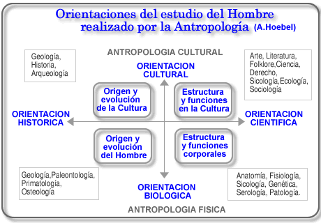 Antropología: QUÉ ES, su HISTORIA y SIGNIFICADO Esencial 2 antropologia que es su historia y significado esencial