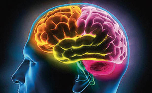 Aphantasia: DESCUBRE la MENTE CIEGA y sus MISTERIOS 2 aphantasia descubre la mente ciega y sus misterios