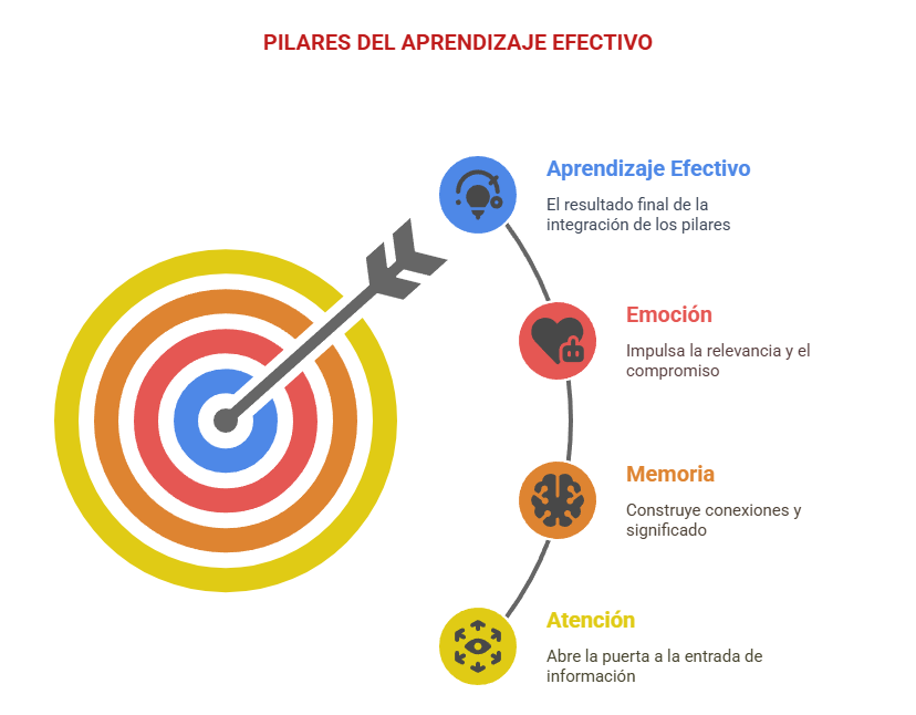 Aprendizaje No Asociativo: Tipos y Claves Reveladoras 2 aprendizaje no asociativo tipos y claves reveladoras