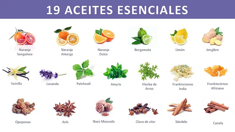 Aroma Lejano: Relaja tu Cerebro y Descubre su Poder 2 aroma lejano relaja tu cerebro y descubre su poder