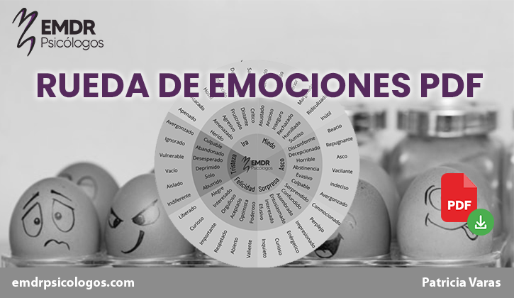 ascos tipos y caracteristicas que transformaran tu terapia