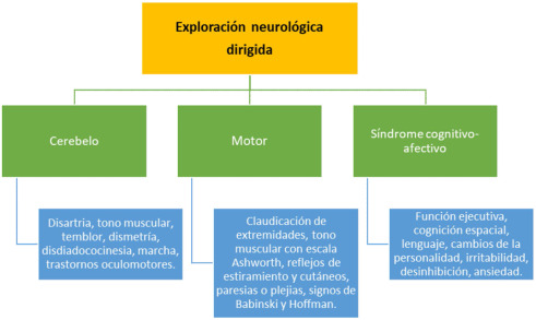 ASHWORTH SCALE: EVALUACIÓN CLÍNICA y APLICACIONES en MADRID 2 ashworth scale evaluacion clinica y aplicaciones en madrid