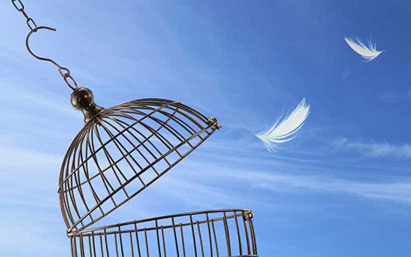 Autonomía Emocional: Tu Camino hacia la Libertad Personal 2 autonomia emocional tu camino hacia la libertad personal