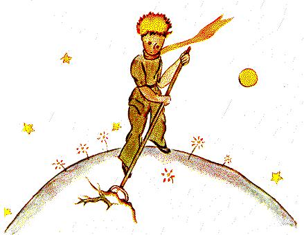 Baobab en El Principito: SIGNIFICADO y REFLEXIONES PROFUNDAS 2 baobab en el principito significado y reflexiones profundas