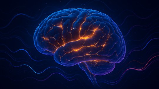 BARRERA HEMATOENCEFÁLICA: PROTEGE tu CEREBRO de Amenazas 2 barrera hematoencefalica protege tu cerebro de amenazas