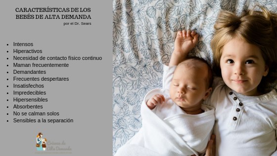 bebes de alta demanda caracteristicas y consejos utiles