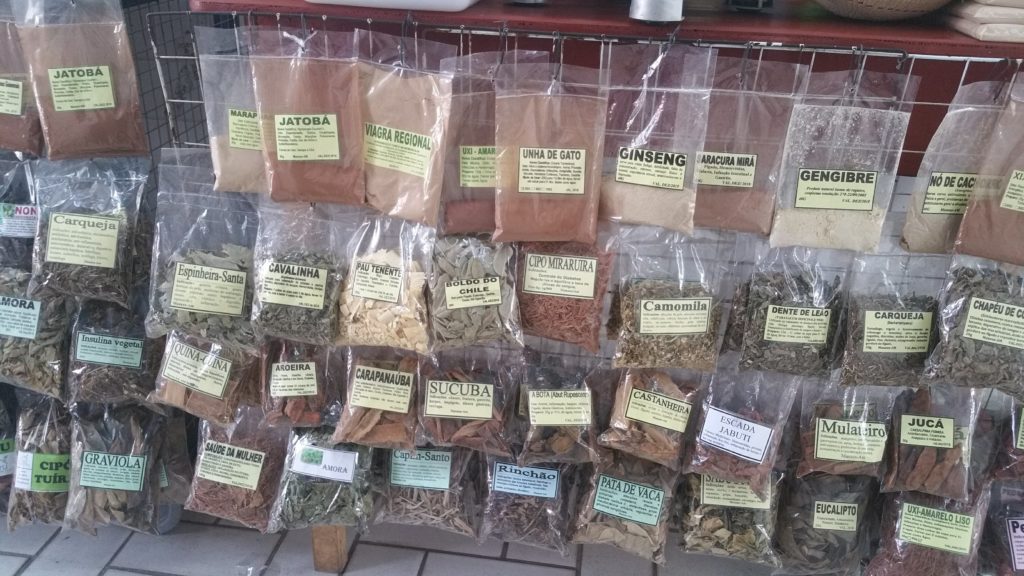 beneficio yerba mate 10 propiedades que impresionan
