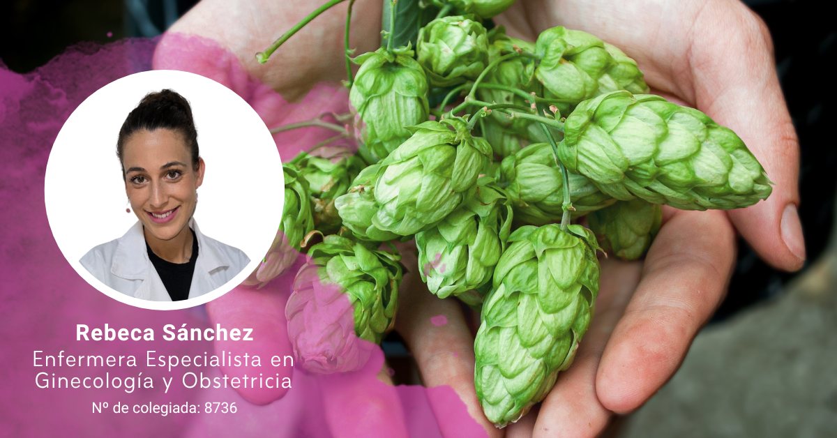 Beneficios del Lúpulo: ¡Descubre Cómo Mejora tu Salud! 2 beneficios del lupulo descubre como mejora tu salud