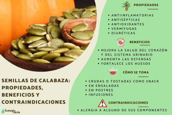 Beneficios del ZAPALLO para tu SALUD - Descubre sus RAZONES 8 beneficios del zapallo para tu salud descubre sus razones