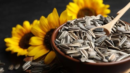 Beneficios Sorprendentes de las Semillas de Girasol 2 beneficios sorprendentes de las semillas de girasol