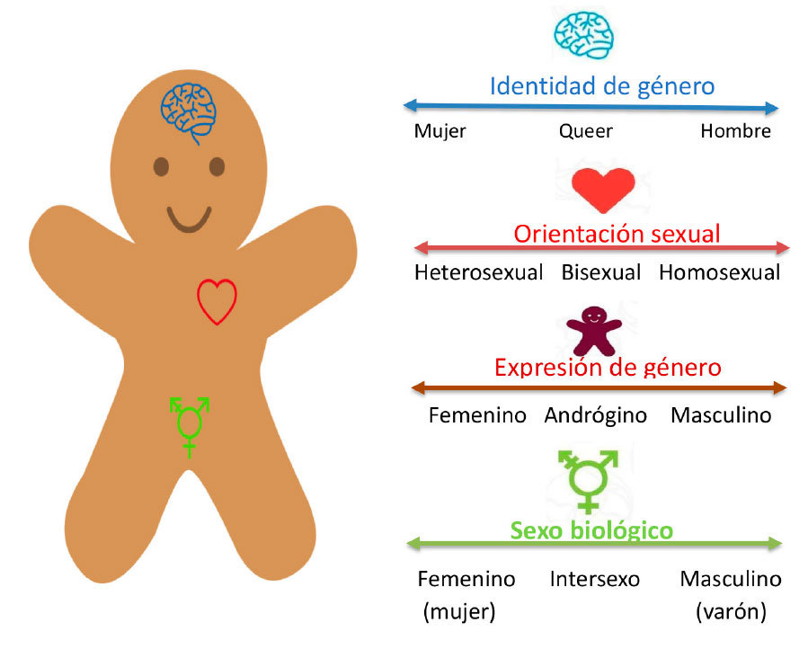 Binarismo de GÉNERO: Entiende su EVOLUCIÓN y SIGNIFICADO 2 binarismo de genero entiende su evolucion y significado