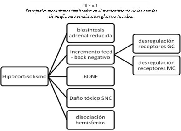 Blunting EMOCIONAL: Definición y DESORDENES ASOCIADOS 2 blunting emocional definicion y desordenes asociados
