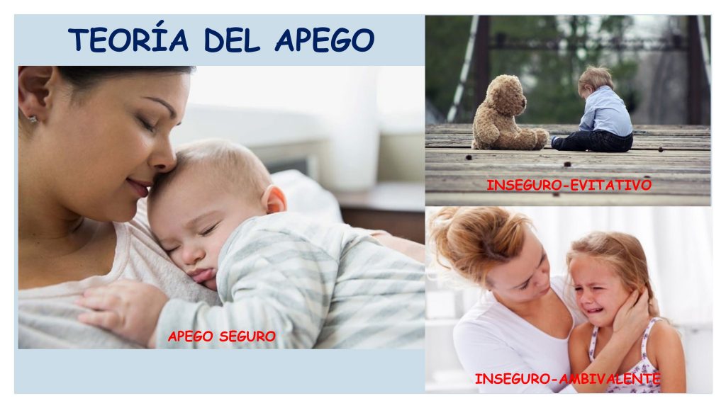 bowlby y la teoria del apego comprende su importancia