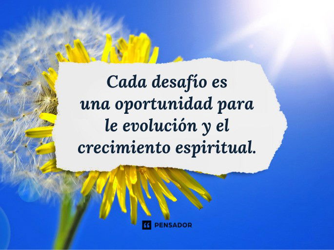 brilla con luz propia reflexiones que transforman vidas